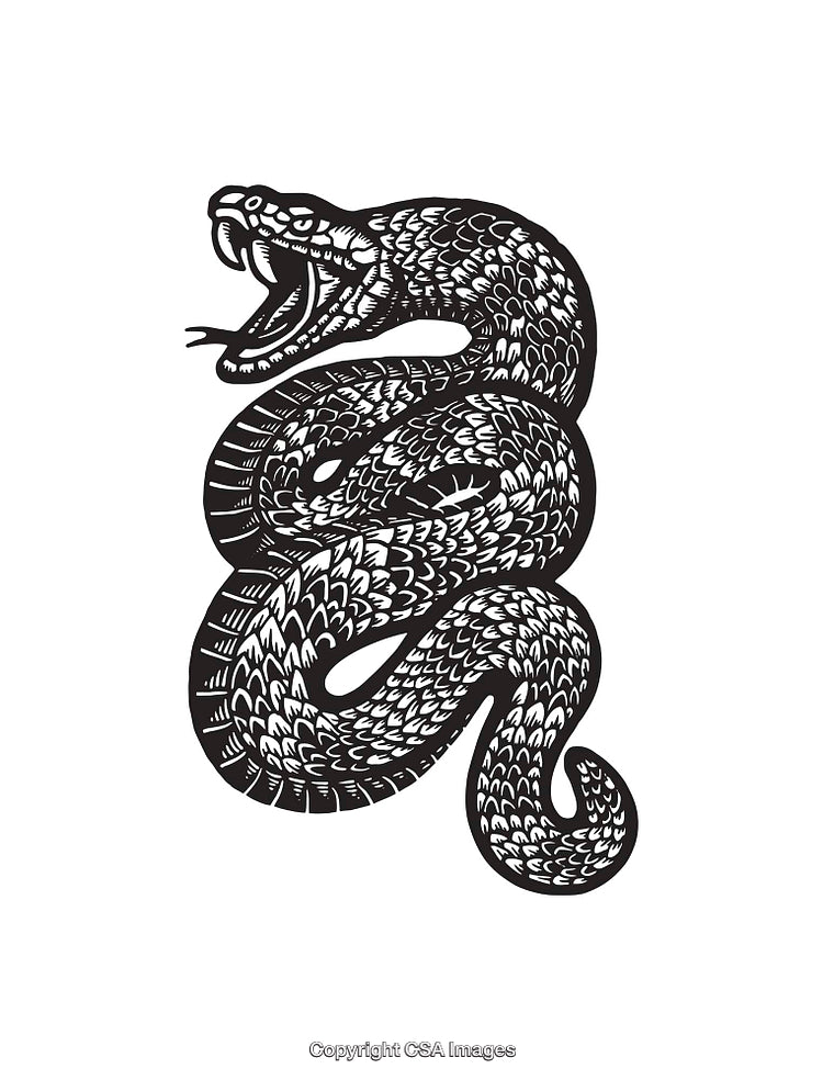 Black and White Line Art of a Coiled Snake with Open Mouth