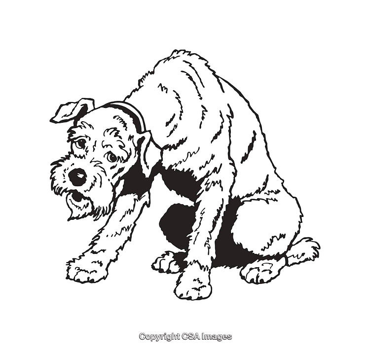 Black And White Line Art Illustration of a Scratching Dog