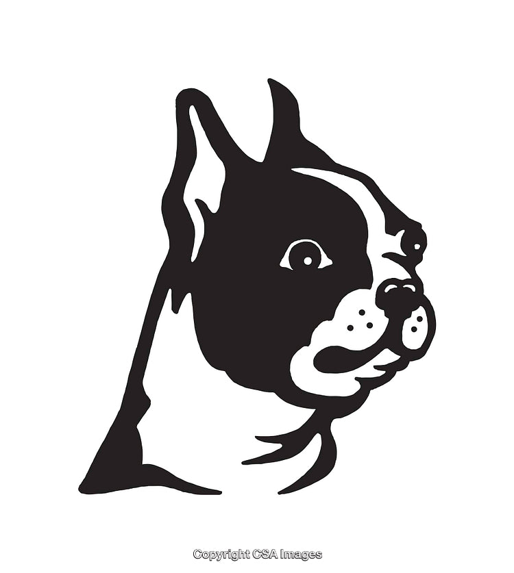 Black and White Line Art Illustration of a Dog Profile
