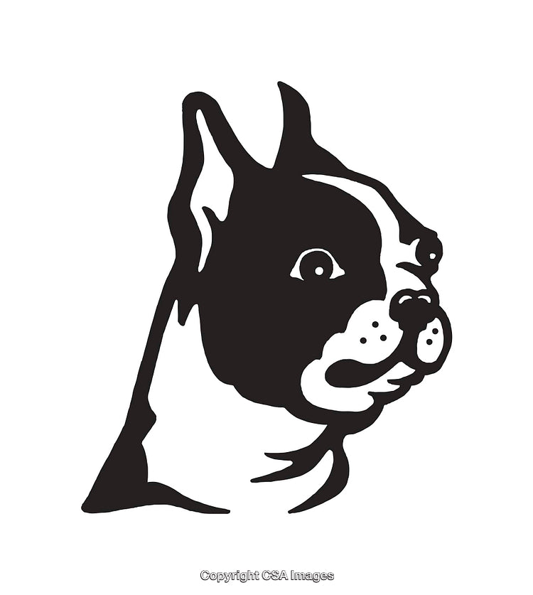 Black and White Line Art Illustration of a Dog Profile