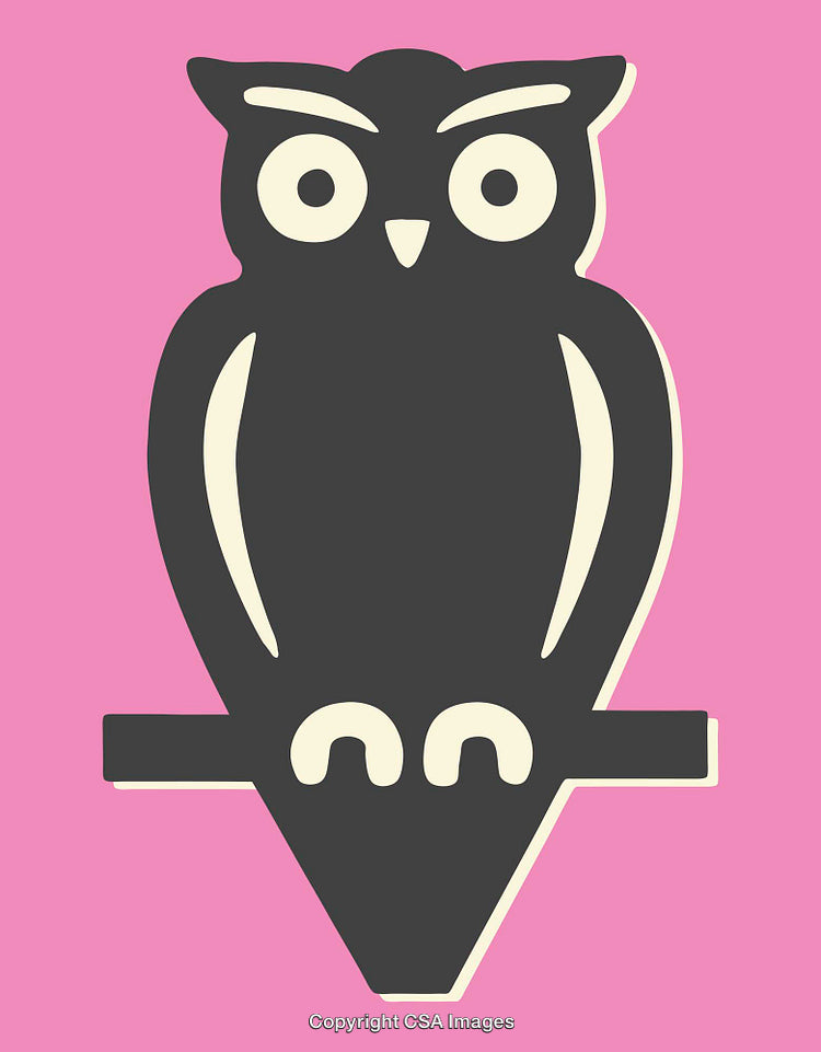 Stylized Cartoony Illustration of Owl on Pink Background
