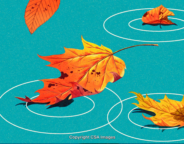 Beautiful Autumn Leaves Floating Gracefully in Rippling Turquoise Water