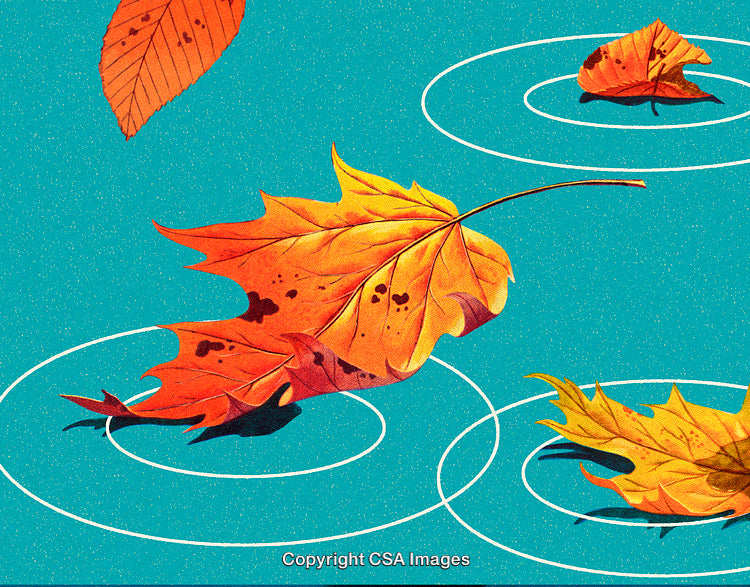 Beautiful Autumn Leaves Floating Gracefully in Rippling Turquoise Water