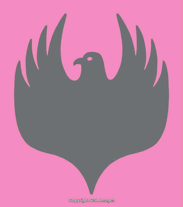 Minimalist Gray Bird Silhouette on Bright Pink Background Art