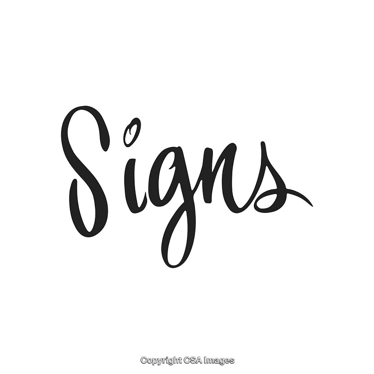 Elegant Calligraphic Script Design Showcasing the Word 'Signs' in Black