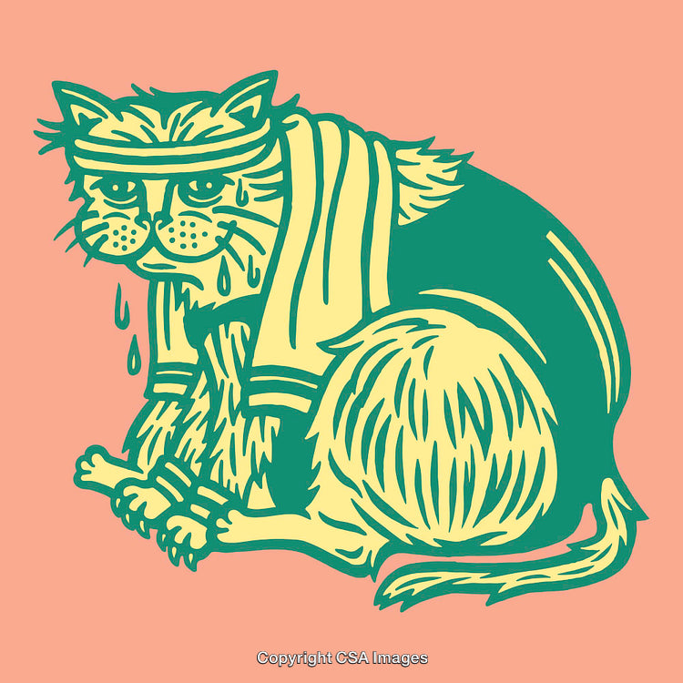 Colorful Line Art Illustration of a Sweaty Cat After Exercise