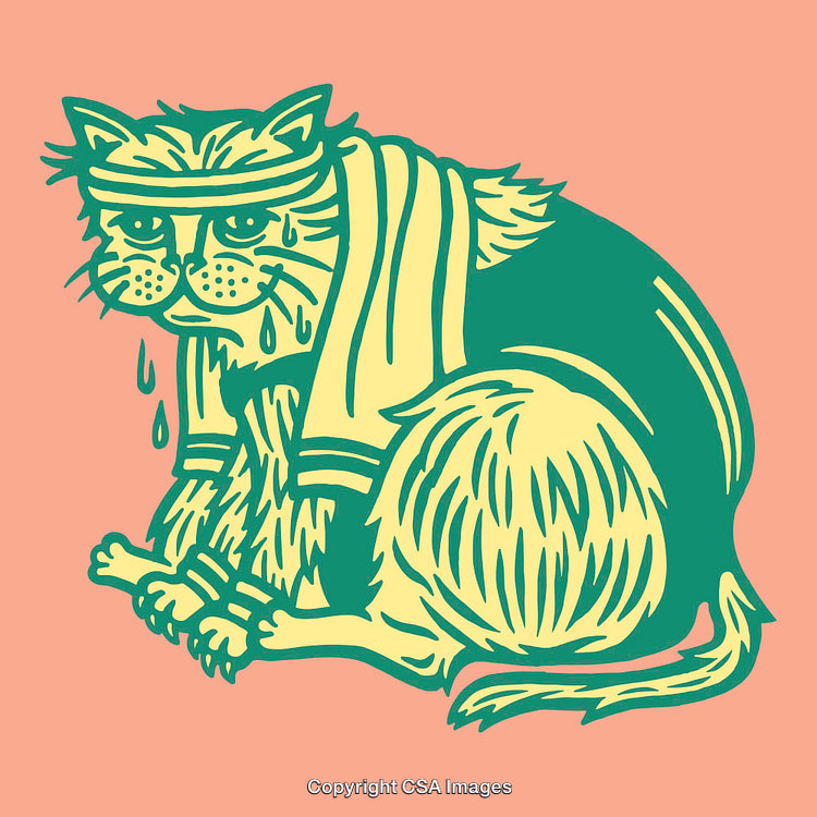 Colorful Line Art Illustration of a Sweaty Cat After Exercise