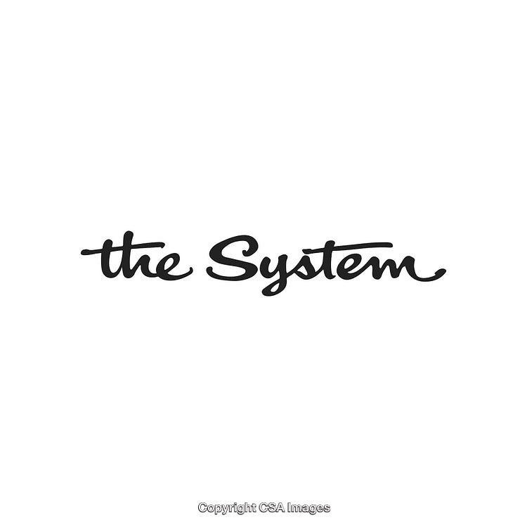 Elegant Decorative Script Text with the Phrase 'The System'