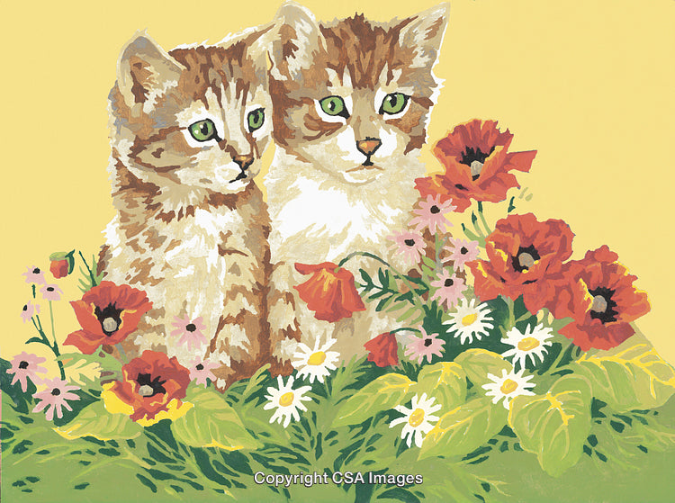 Two Kittens Sitting Among Colorful Flowers on Yellow Background