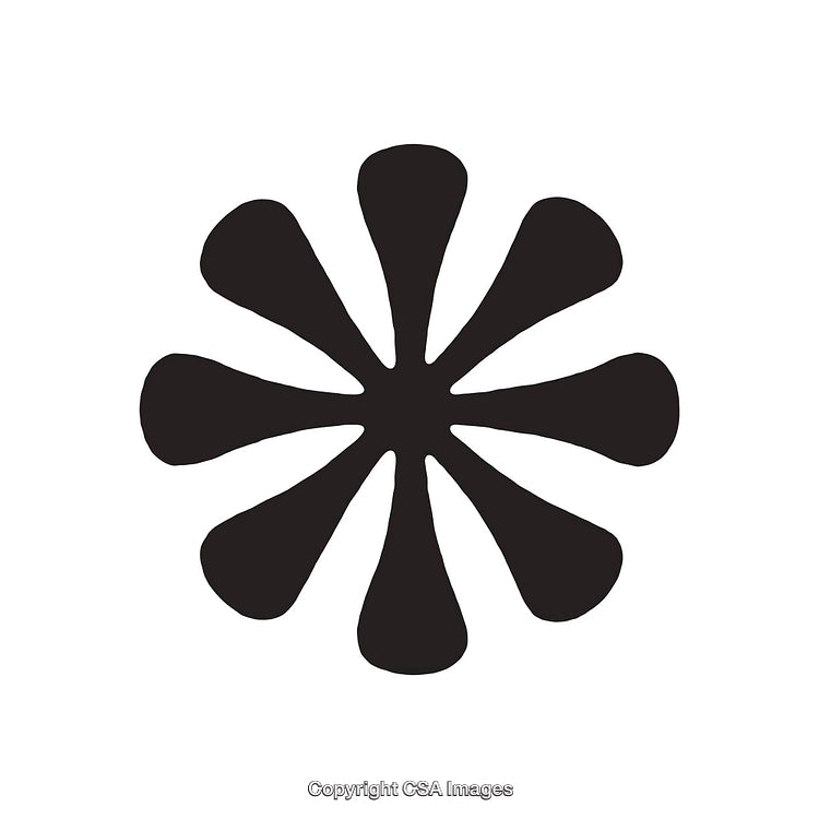 Simple Black Asterisk-Like Shape with Isolated White Background