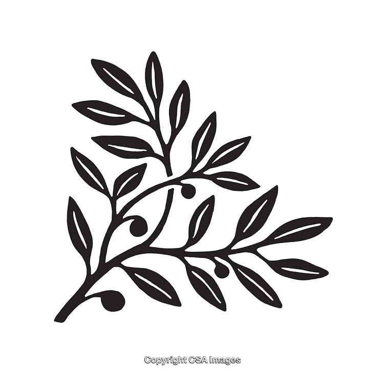 Black and White Line Art Illustration of a Branch With Leaves