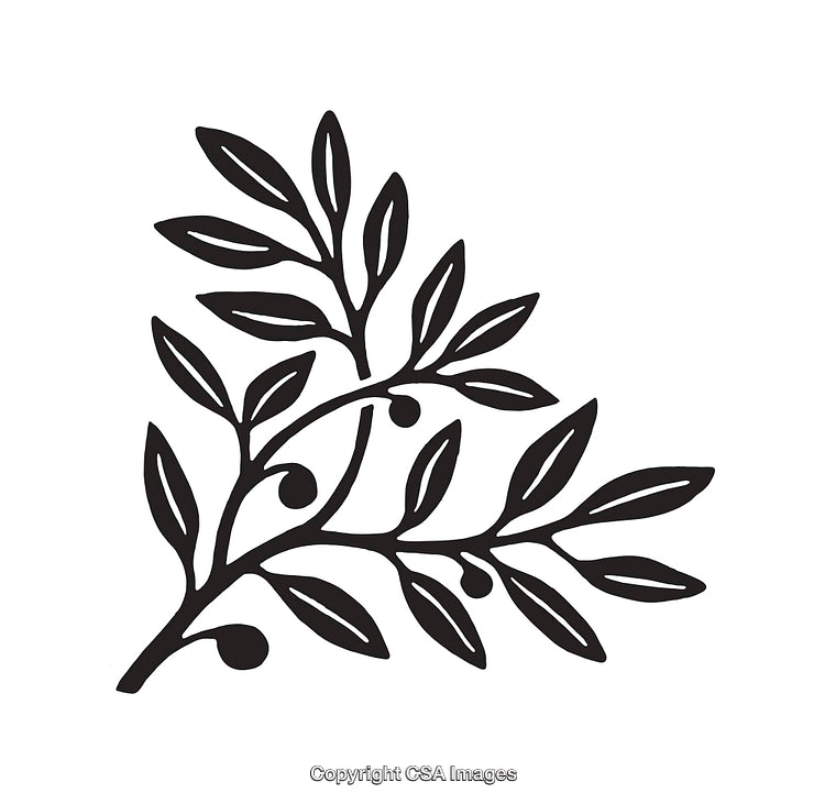 Black and White Line Art Illustration of a Branch With Leaves