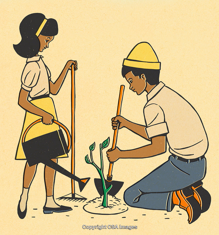 Two Children Collaborating Together While Planting a Small Plant in the Soil