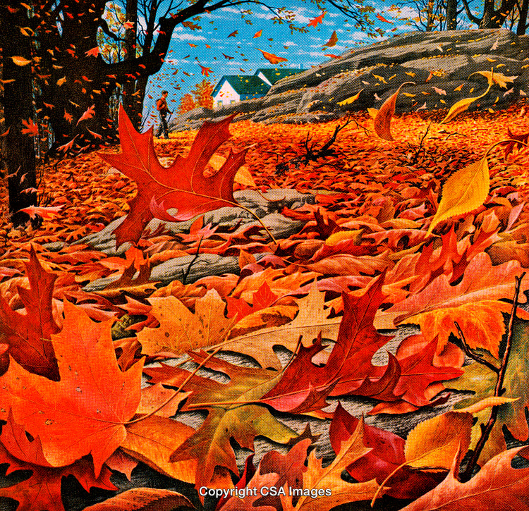 Vivid Autumn Landscape with Falling Leaves and Vibrant Season Colors