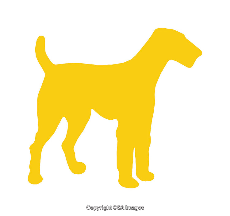 Yellow Canine Silhouette Icon on a Clean White Background