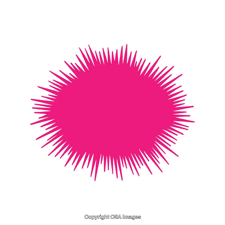 Bright Pink Starburst Shape on a Clean White Background