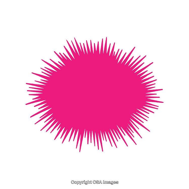 Bright Pink Starburst Shape on a Clean White Background