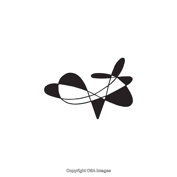 Abstract Black and White Geometric Shape with Flowing Design