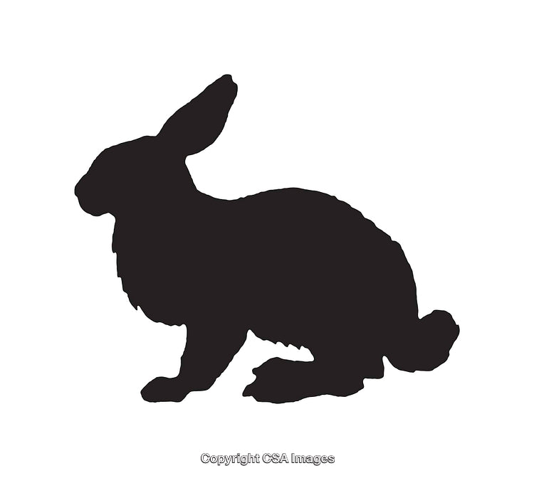Black Silhouette of a Rabbit on a White Background