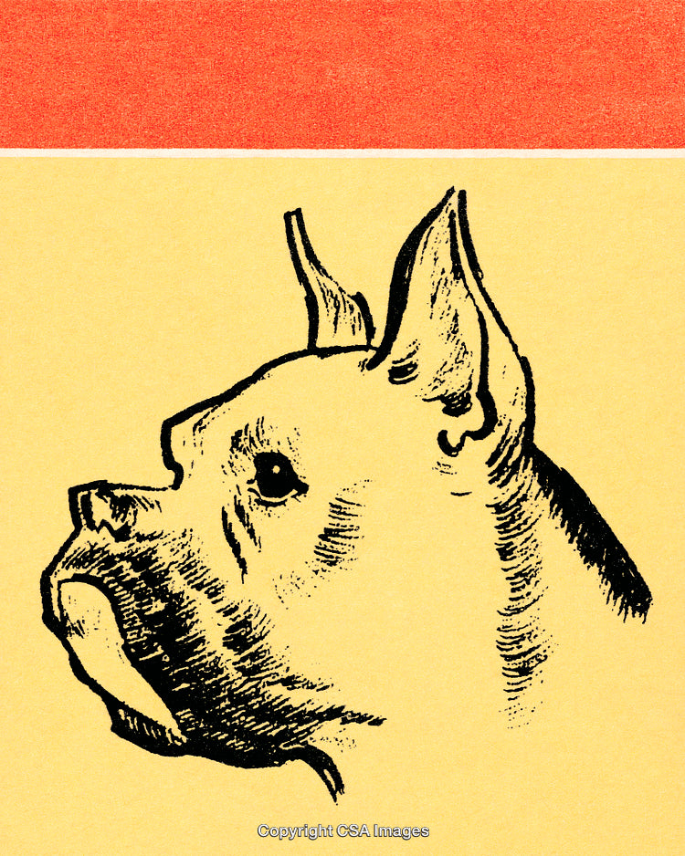 Detailed Ink Illustration of a Dog Profile with Color Background Design