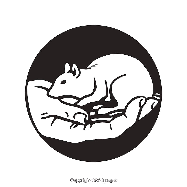 Monochrome Line Art of Small Mouse Cradled in Hands