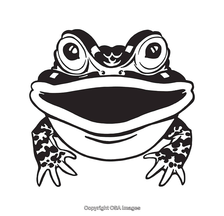 Black and White Line Art Illustration of a Cartoon Frog