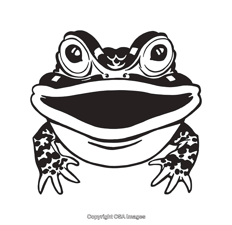 Black and White Line Art Illustration of a Cartoon Frog