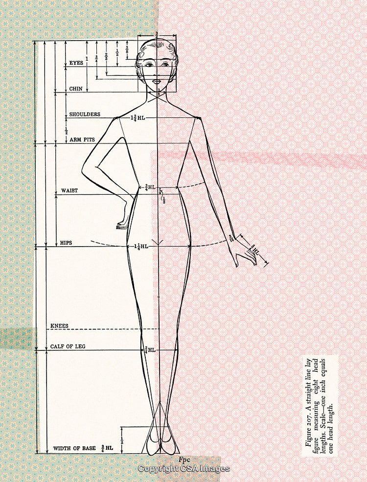Illustration of Proportion and Measurement in a Fashion Design Concept