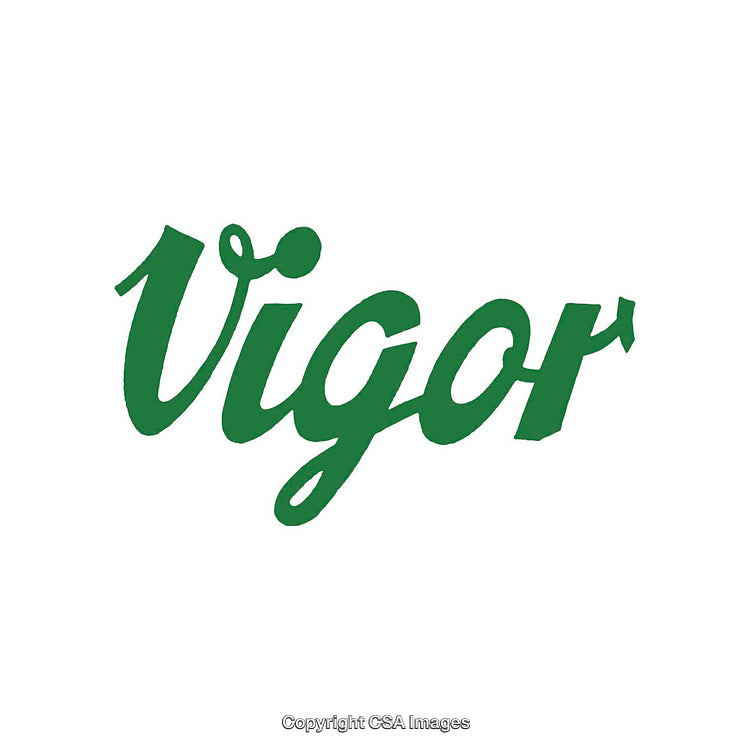 Vibrant Green Text Logo of "Vigor" in Cursive Font