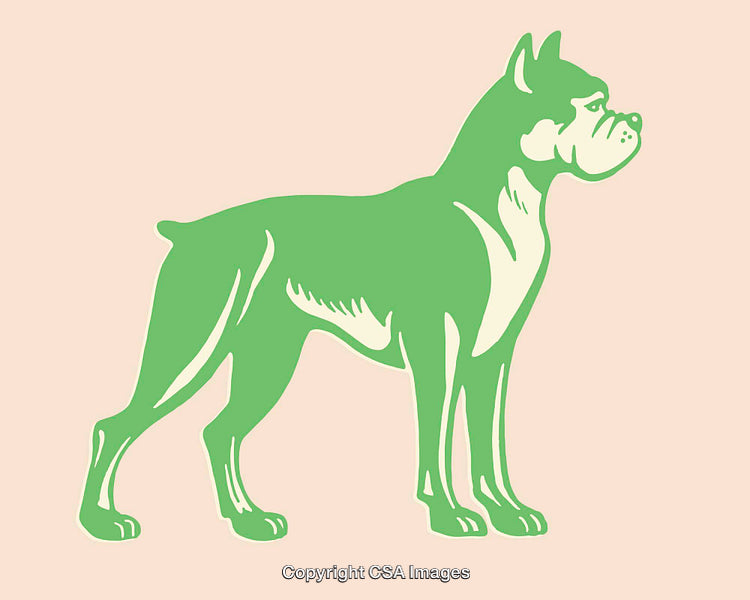 Green Boxer Dog Illustration in Profile View on Light Background
