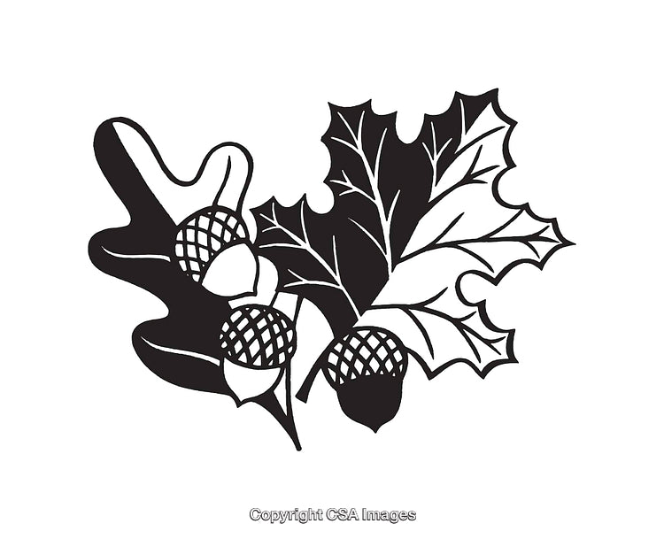 Black and White Line Art of Oak Leaves and Acorns Design
