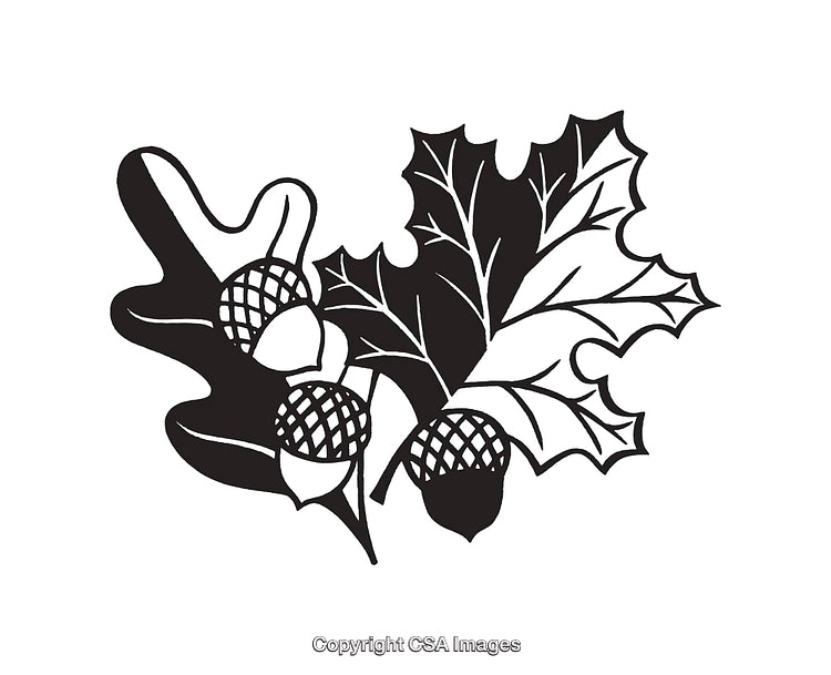 Black and White Line Art of Oak Leaves and Acorns Design
