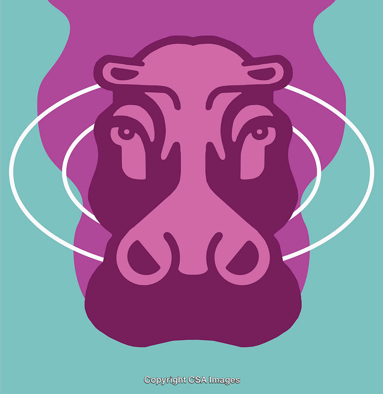 Colorful Abstract Illustration of a Hippo Face with Bold Graphic Design