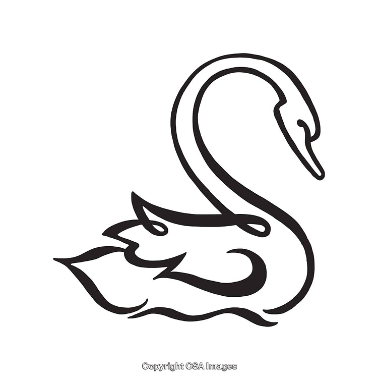 Elegant Black and White Swan Line Art Design Illustration