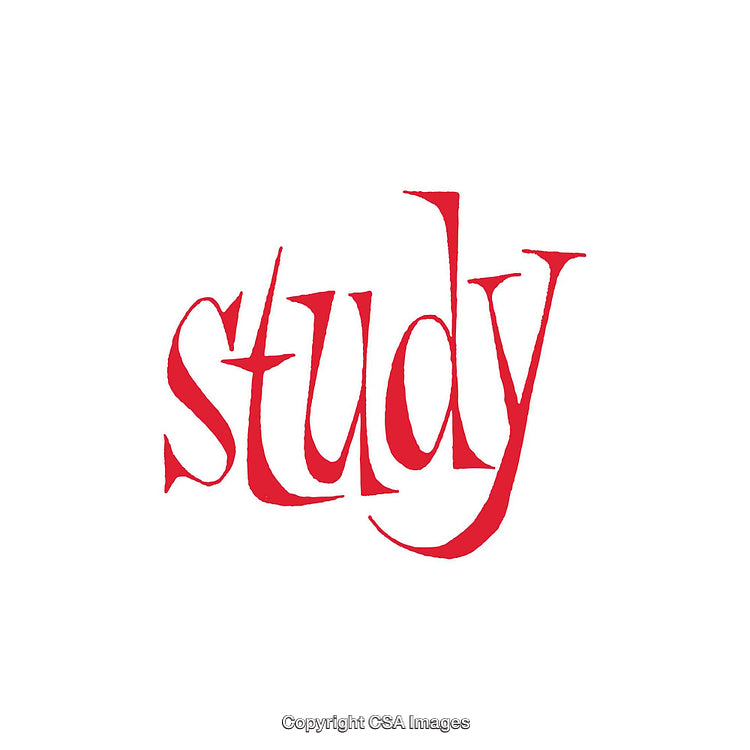 Red Stylized Typography Depicting the Word Study With Artistic Flair