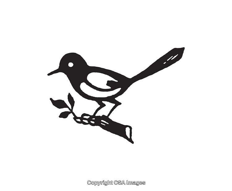 Black and White Line Art of Bird on Branch Illustration