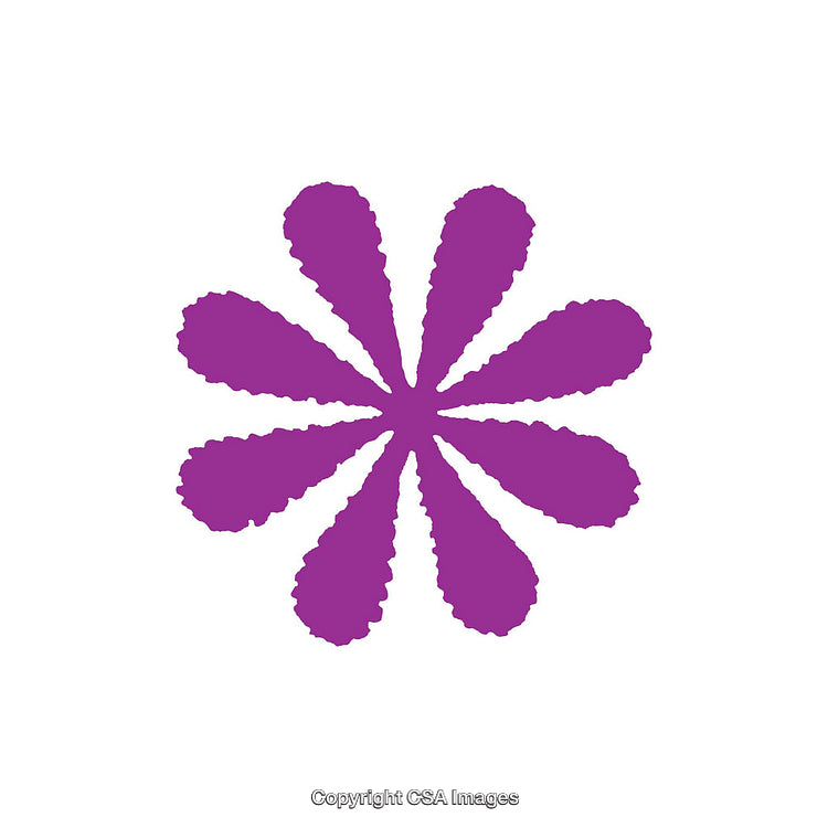 Purple Eight-Petal Flower Dingbat Design on a White Background