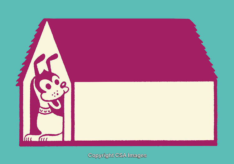 Colorful Illustration of a Dog in a House with Playful Expressions