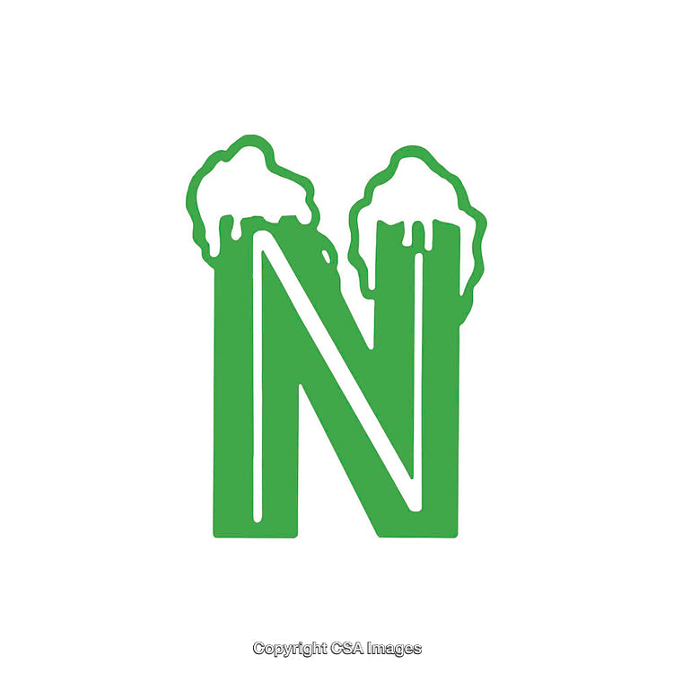 Green Letter N with Snow Accents Creative Typography Design