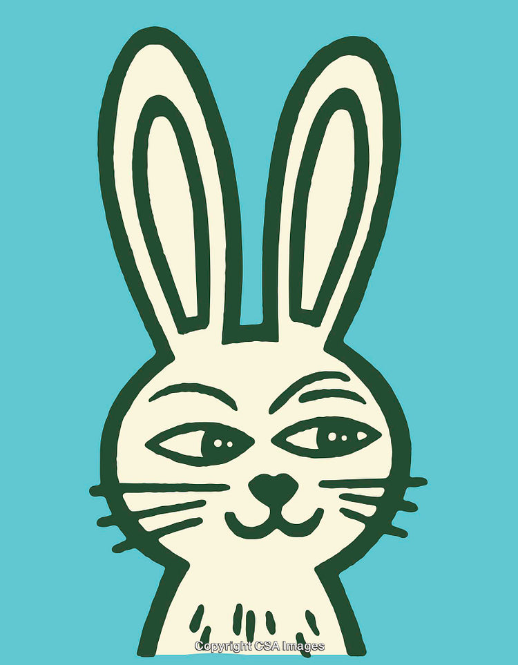 Whimsical Hand-Drawn Rabbit Line Art Illustration in Bold Colors