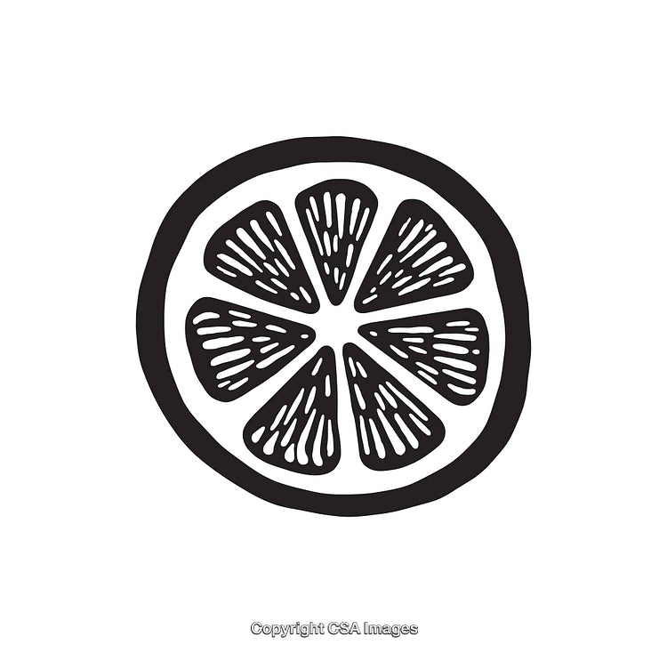 Black and White Line Art Illustration of a Citrus Fruit Slice