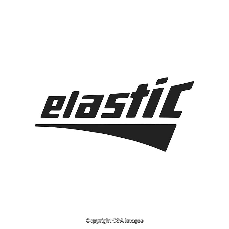 Modern Stylized Logo Showcasing the Word Elastic in Bold Typography