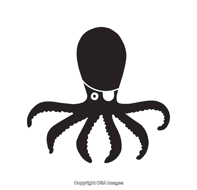 Black and White Octopus Icon with Eight Tentacles