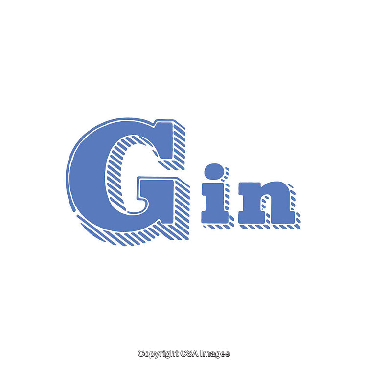 Stylized Blue Typography Representation of the Word Gin on White Background