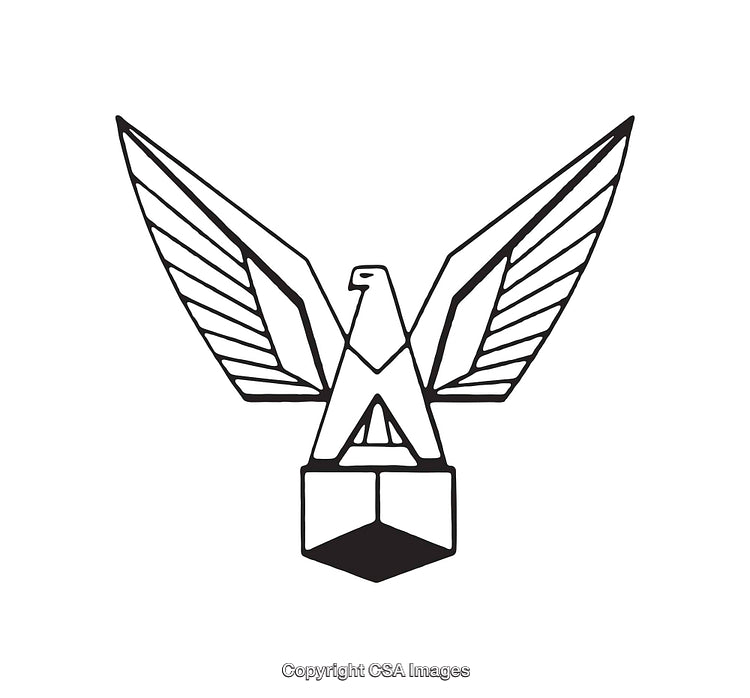 Black and White Line Art Eagle Emblem Design with Geometric Details