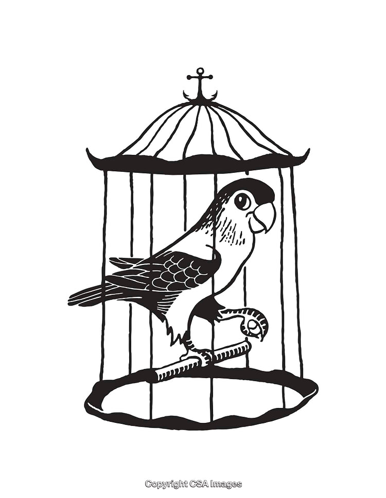 Black And White Line Art of Bird in Decorative Cage