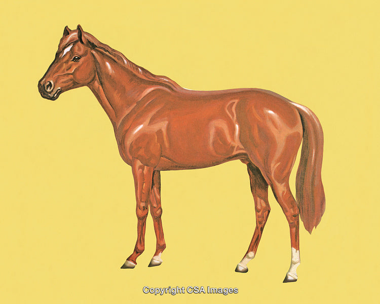 Detailed Artwork of a Chestnut Horse Against a Yellow Background