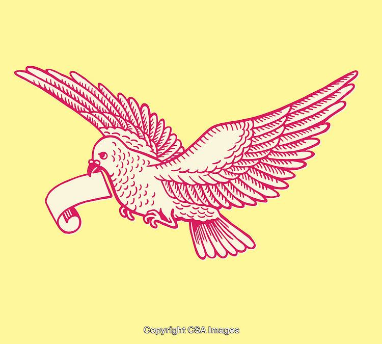 Illustration of a Dove Carrying a Scroll in Minimal Line Art