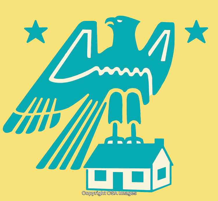 Modern Illustrated Eagle Symbol with House Against Yellow Background