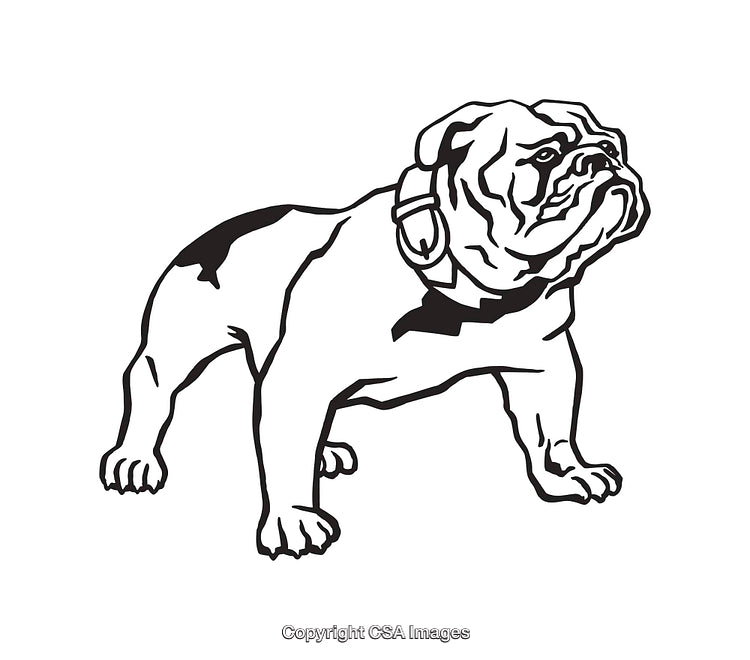 Black and White Line Art of a Bulldog Illustration